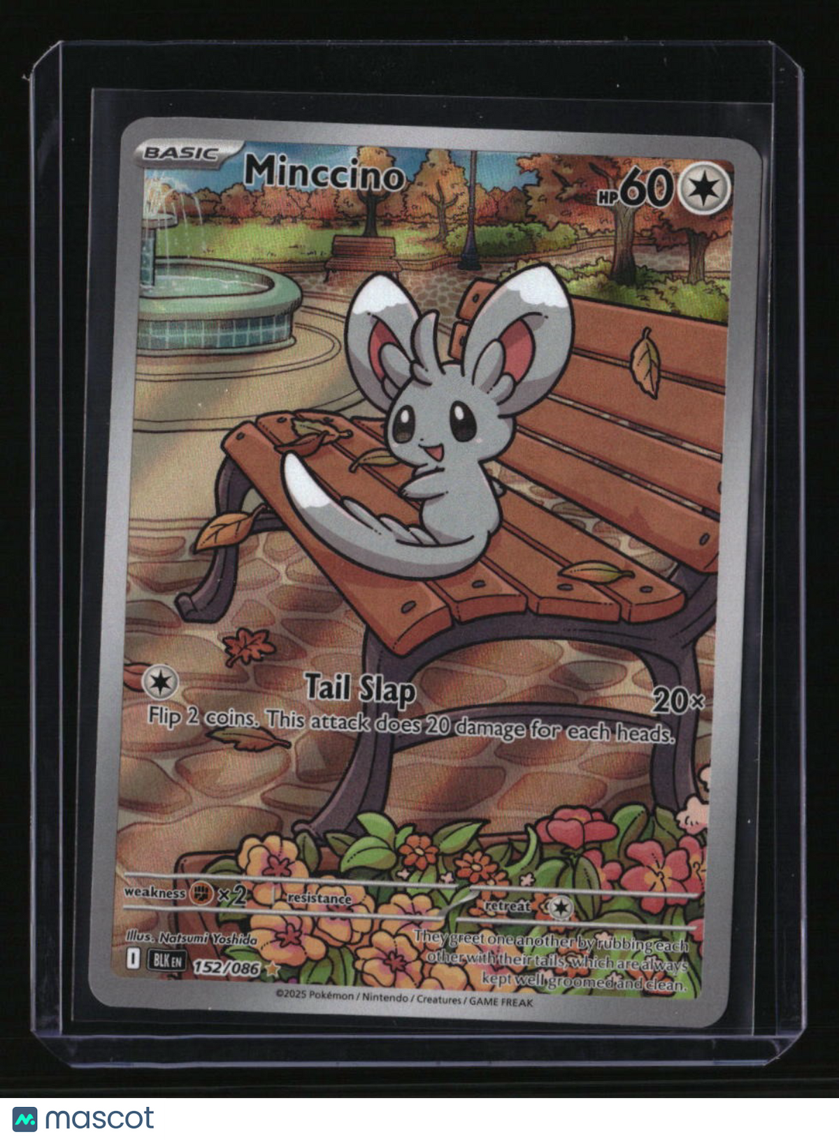 SV: Black Bolt Minccino
