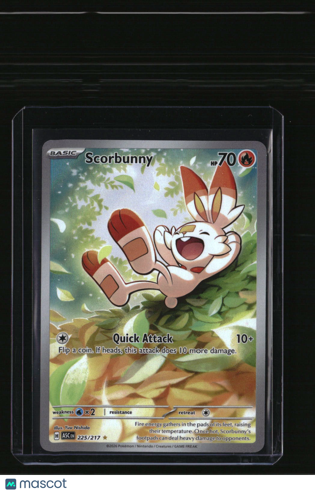 ME: Ascended Heroes Scorbunny