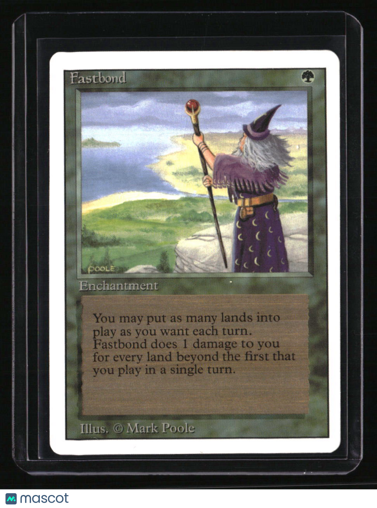 Revised Edition Fastbond