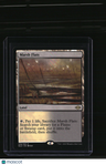 Modern Horizons 2 Marsh Flats