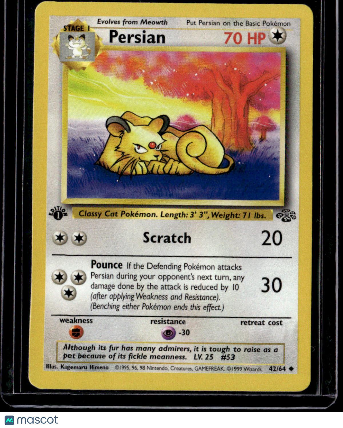 Jungle Persian