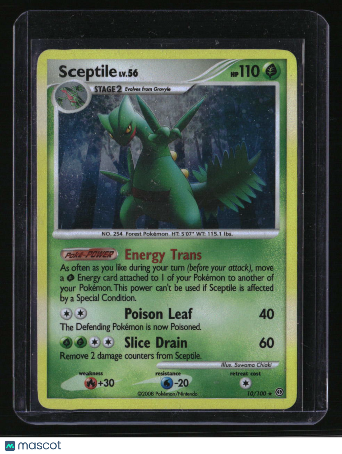 Stormfront Sceptile