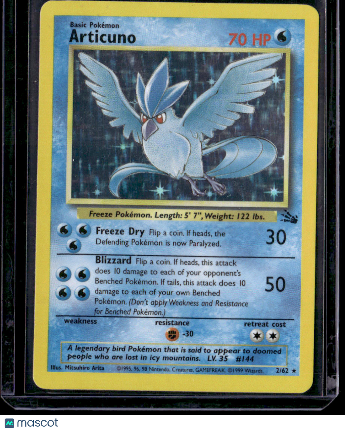 Fossil Articuno (2)