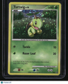 Diamond and Pearl Promos Turtwig w/ Swirl