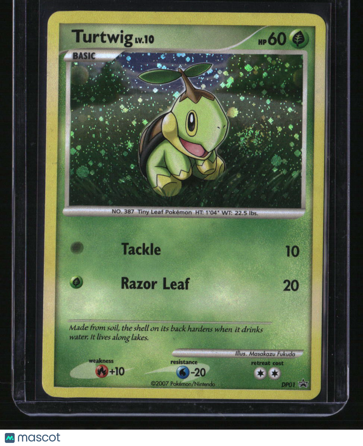Diamond and Pearl Promos Turtwig w/ Swirl