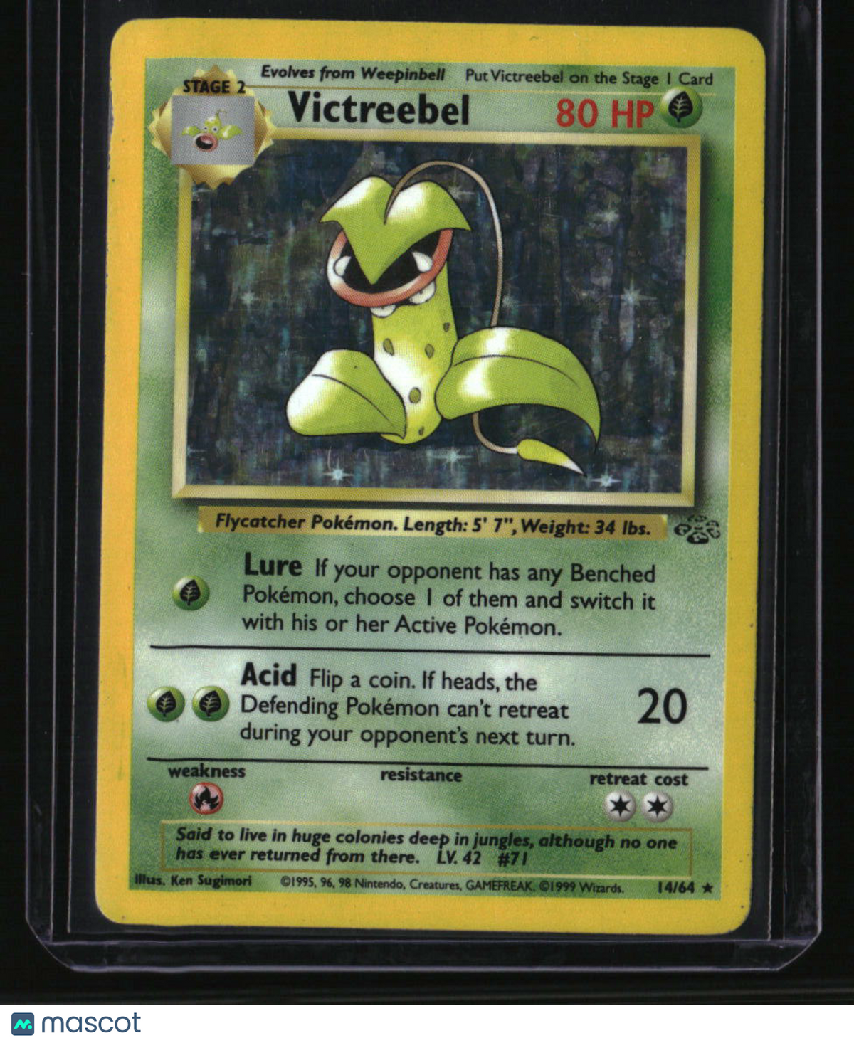 Pokemon Jungle Victreebel