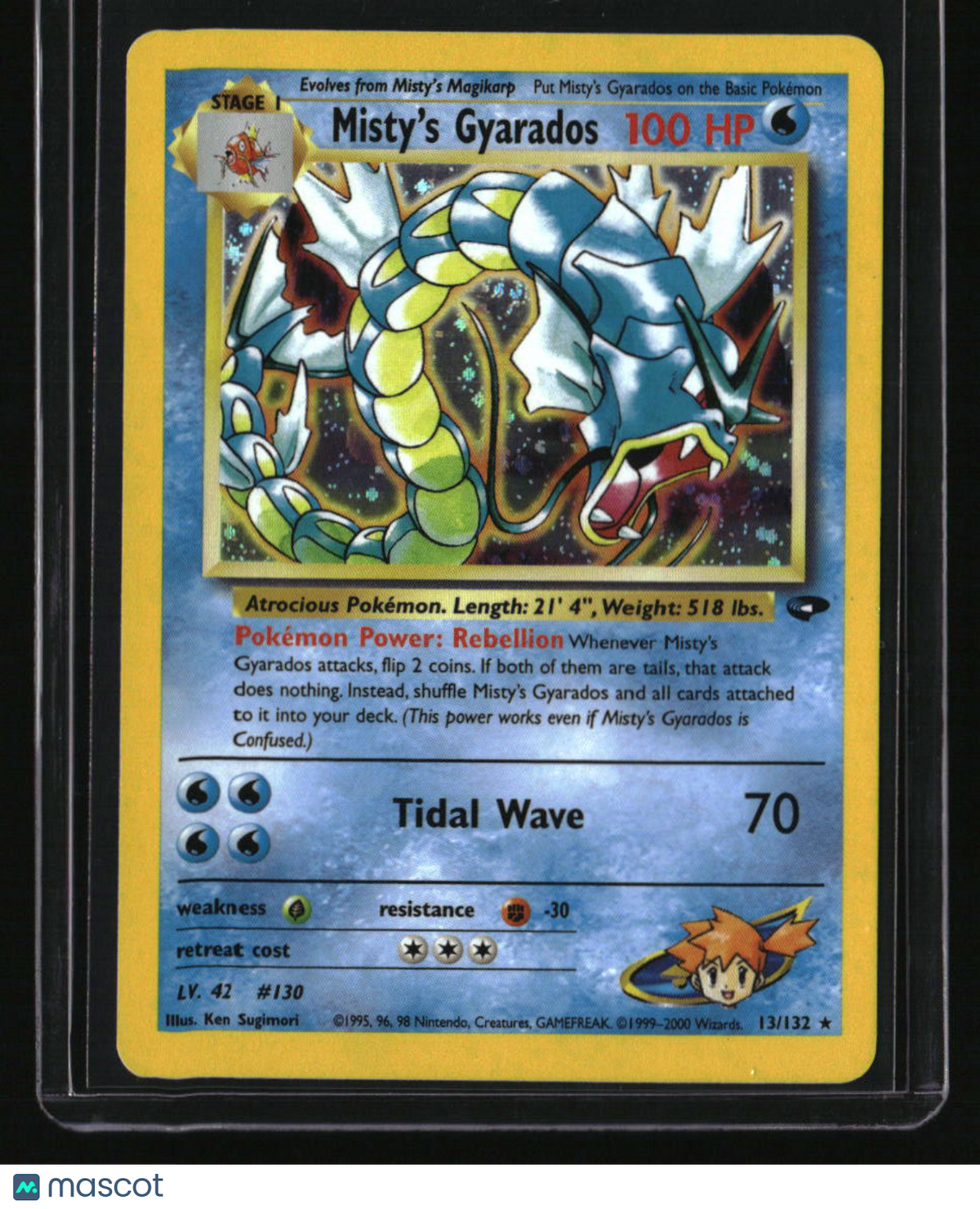 Gym Challenge Misty's Gyarados
