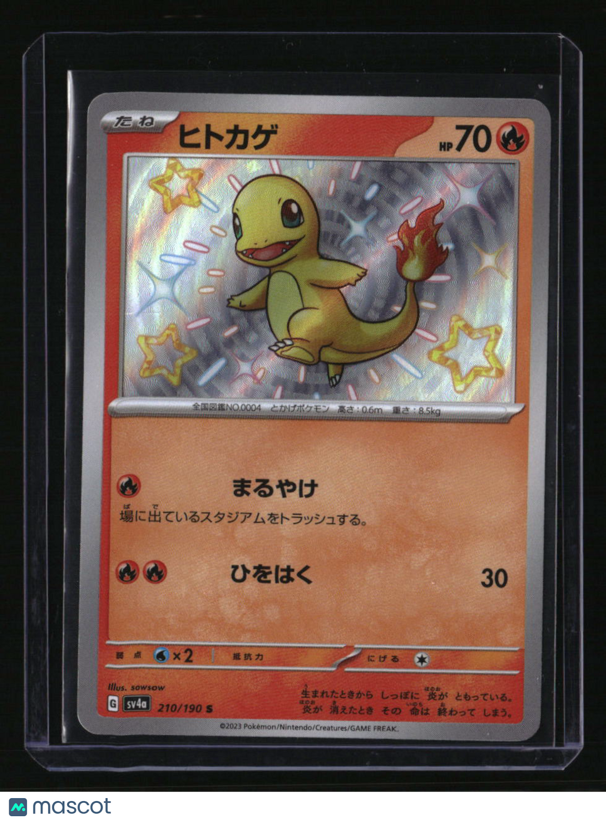 SV4a: Shiny Treasure ex Charmander