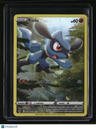 SWSH: Crown Zenith: Galarian Gallery Riolu