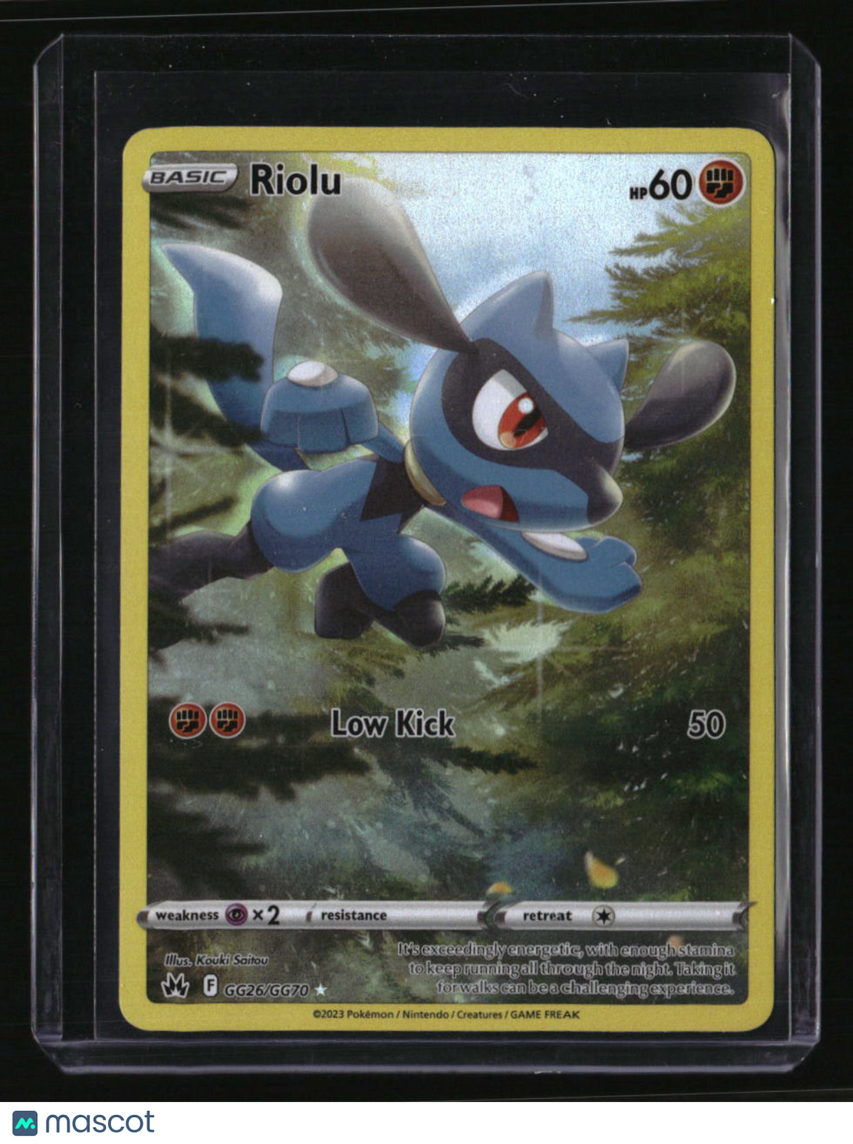 SWSH: Crown Zenith: Galarian Gallery Riolu