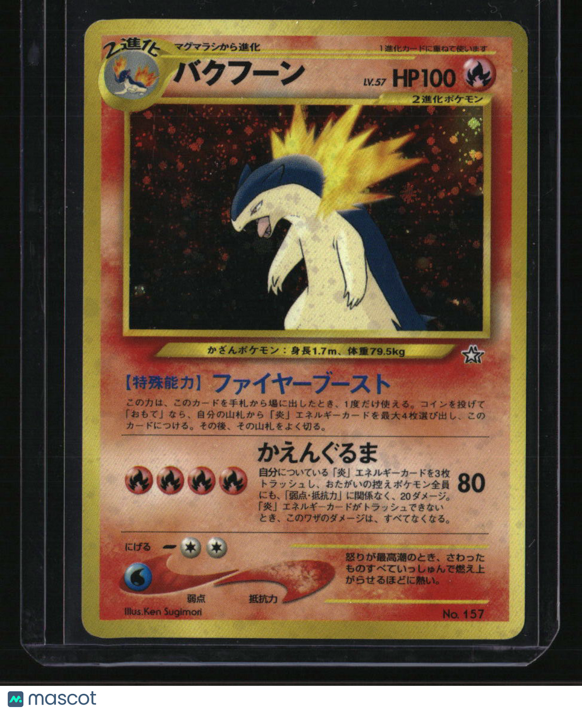 Neo Premium File 1 Typhlosion