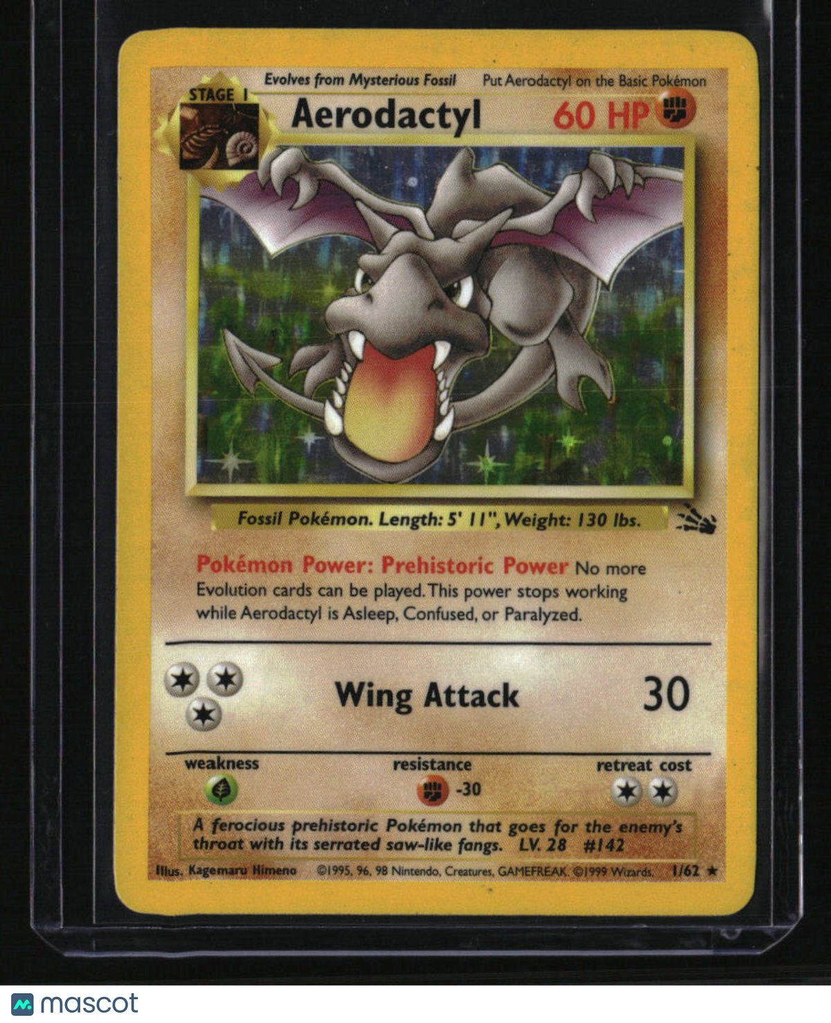 Fossil Aerodactyl (1)