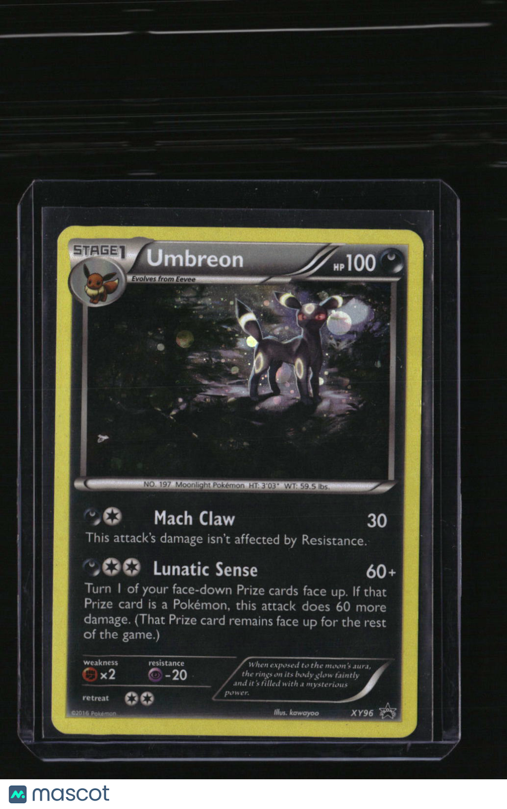 XY Promos Umbreon