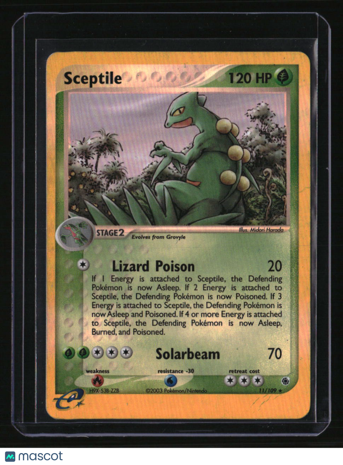 Ruby and Sapphire Sceptile Reverse Holo