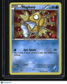 XY Promos Magikarp