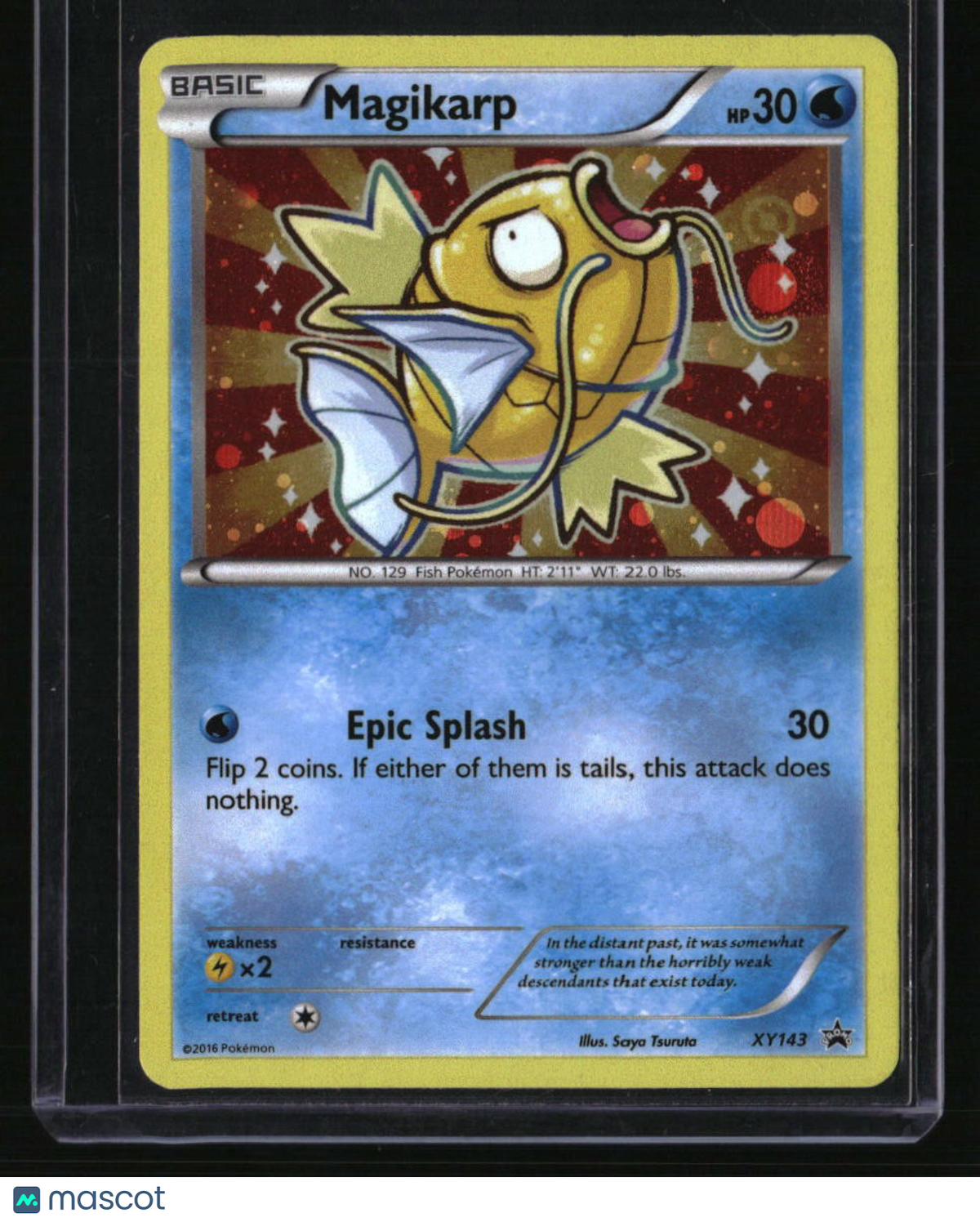 XY Promos Magikarp