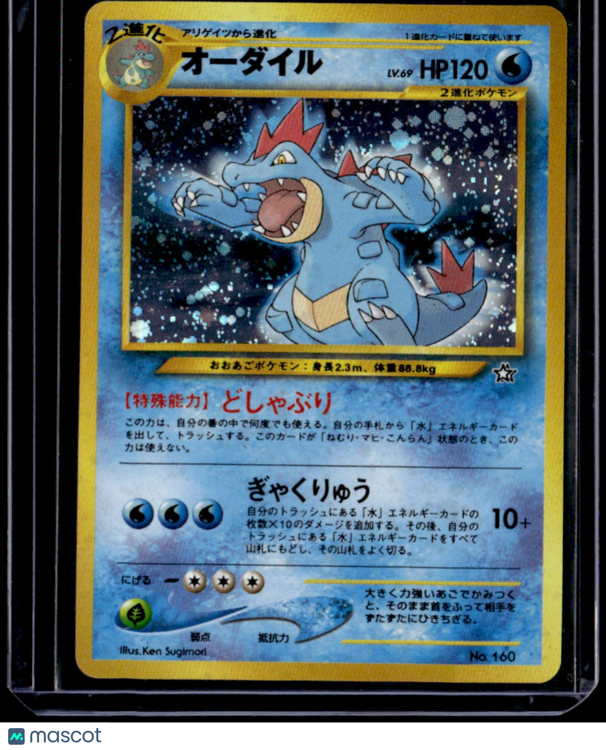 Neo Premium File 1 Feraligatr