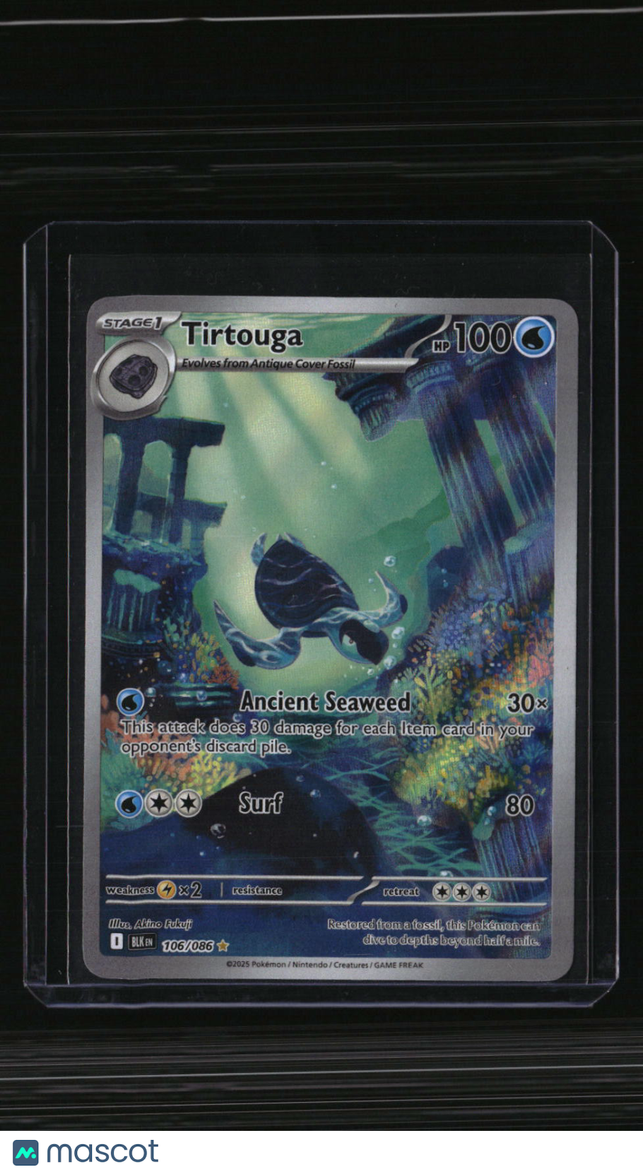 SV: Black Bolt Tirtouga