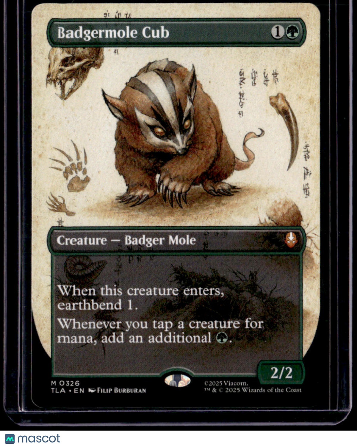 Avatar: The Last Airbender Badgermole Cub (Borderless)