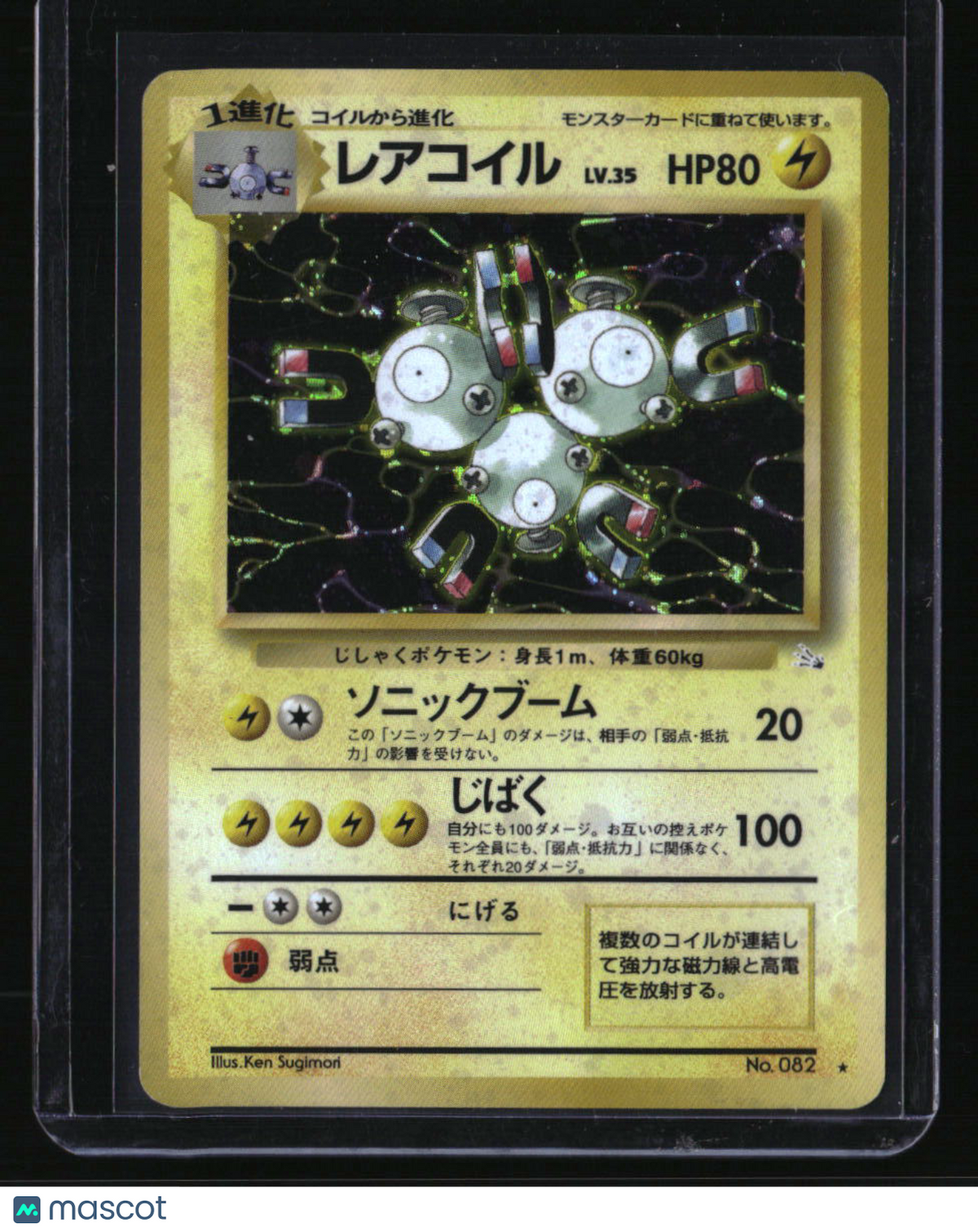 Mystery of the Fossils Magneton