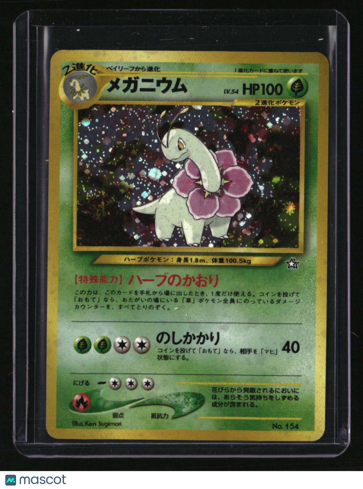 Neo Premium File 1 Meganium