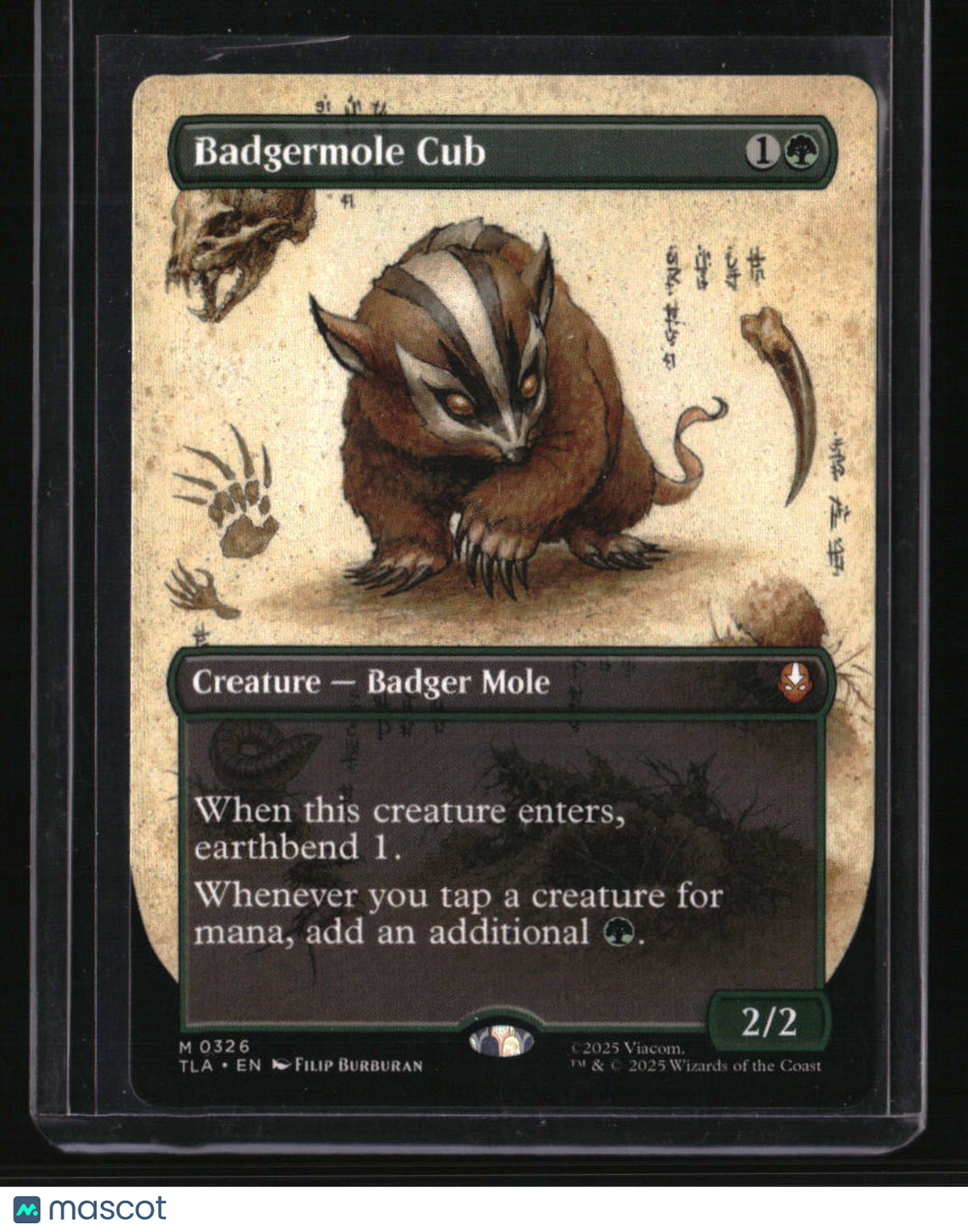 Avatar: The Last Airbender Badgermole Cub (Borderless)