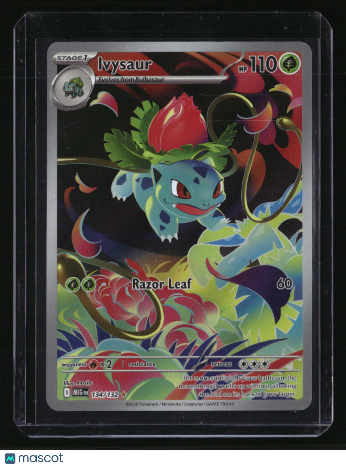 ME01: Mega Evolution Ivysaur