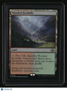 Modern Horizons 3 Wooded Foothills Foil