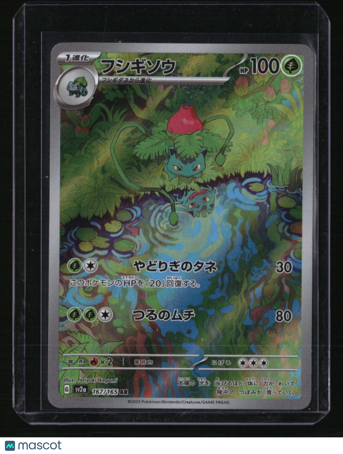 SV2a: Pokemon Card 151 Ivysaur