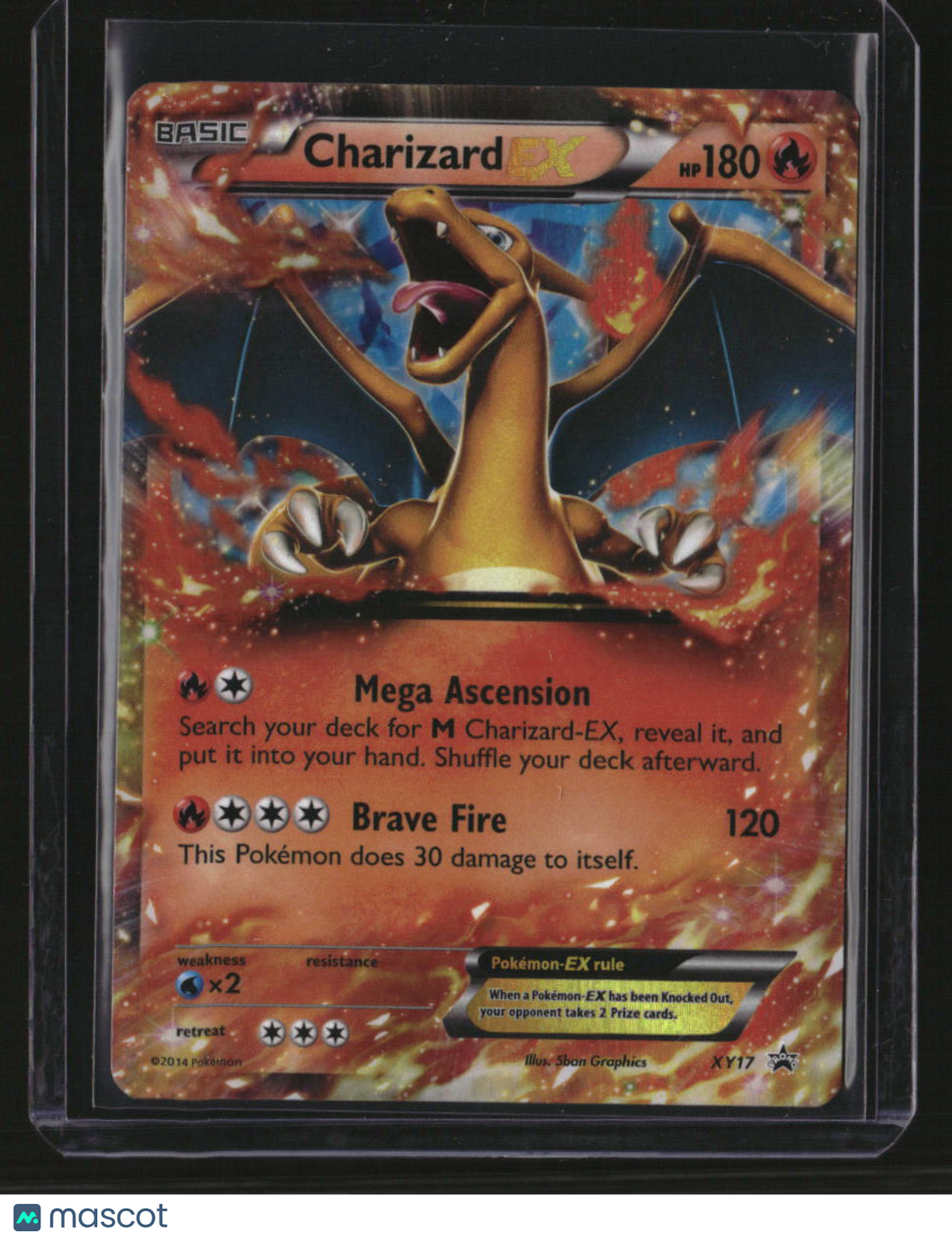 XY Promos Charizard EX