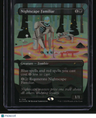 Secret Lair Drop Series Nightscape Familiar (Rainbow Foil)