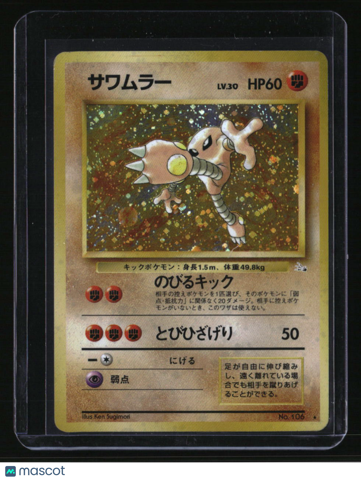 Mystery of the Fossils Hitmonlee