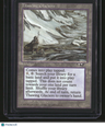 Alliances Thawing Glaciers