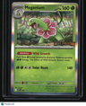 ME: Mega Evolution Promo Meganium