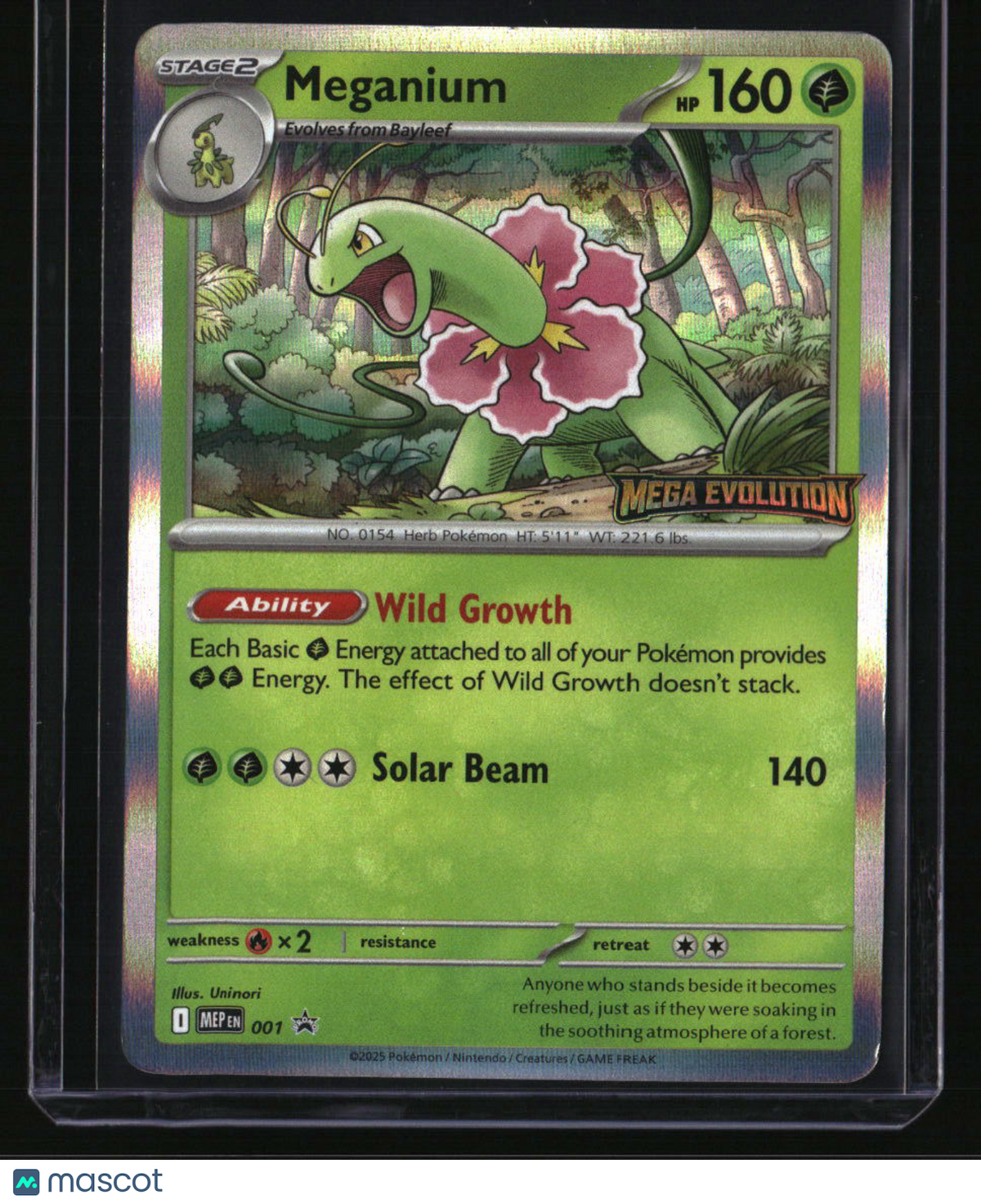 ME: Mega Evolution Promo Meganium