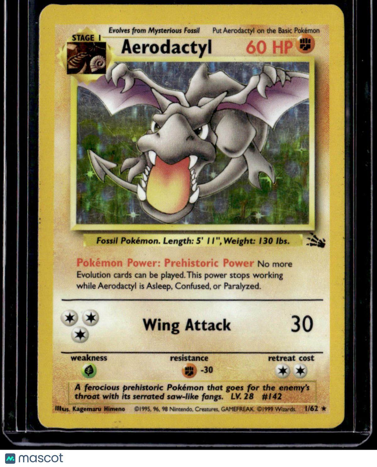 Fossil Aerodactyl (1)