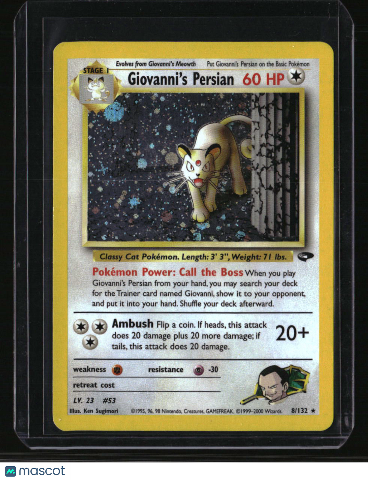 Gym Challenge Giovanni's Persian