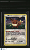 Miscellaneous Cards & Products Eevee