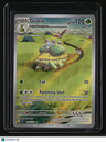SV05: Temporal Forces Grotle