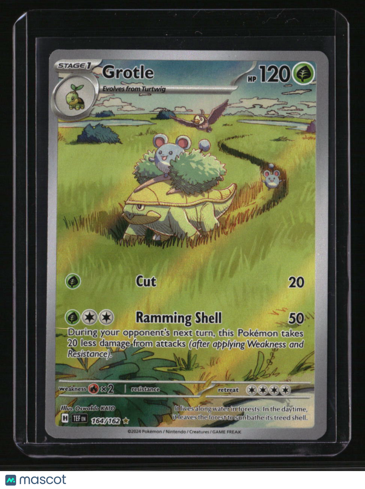 SV05: Temporal Forces Grotle