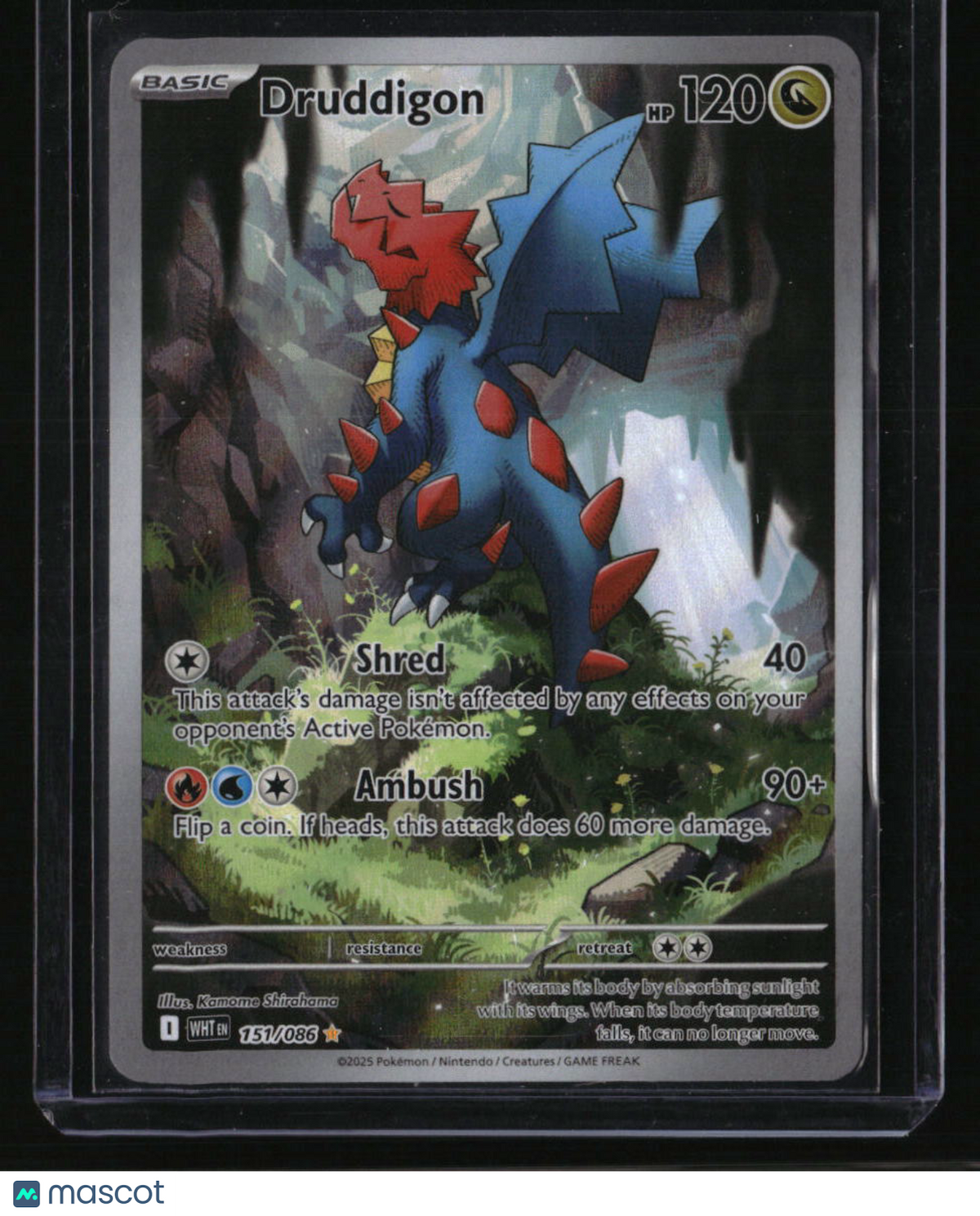 SV: White Flare Druddigon