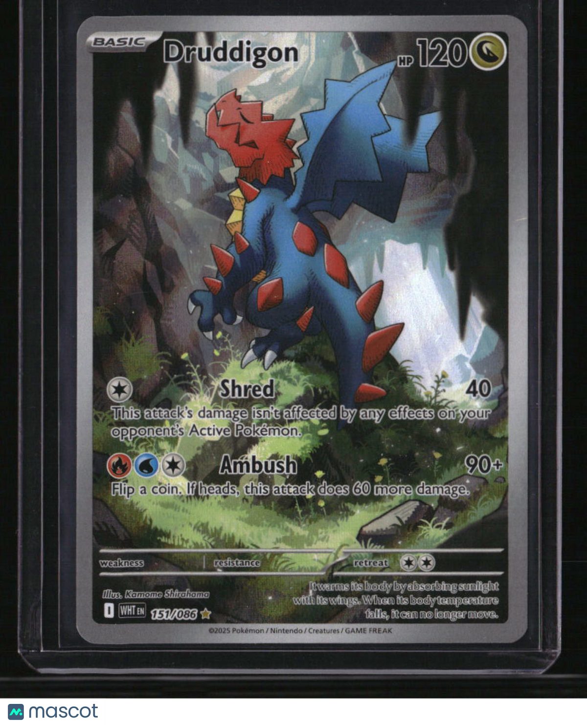 SV: White Flare Druddigon