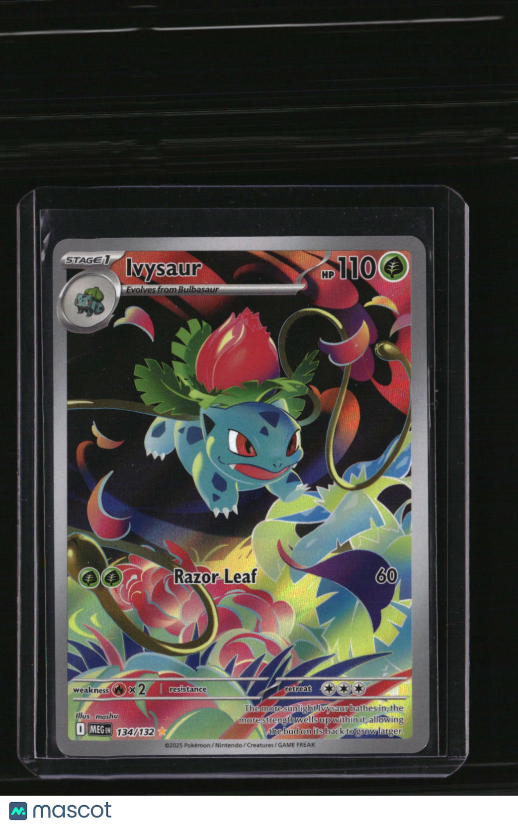 ME01: Mega Evolution Ivysaur