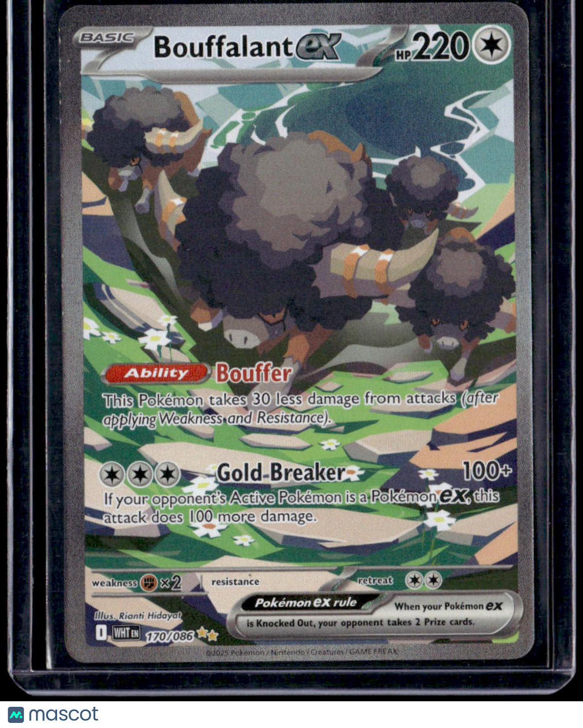 SV: White Flare Bouffalant ex