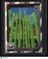 2025 Panini Minecraft 15th Anniversary Sugar Cubic #/15