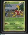 HeartGold SoulSilver Shuckle
