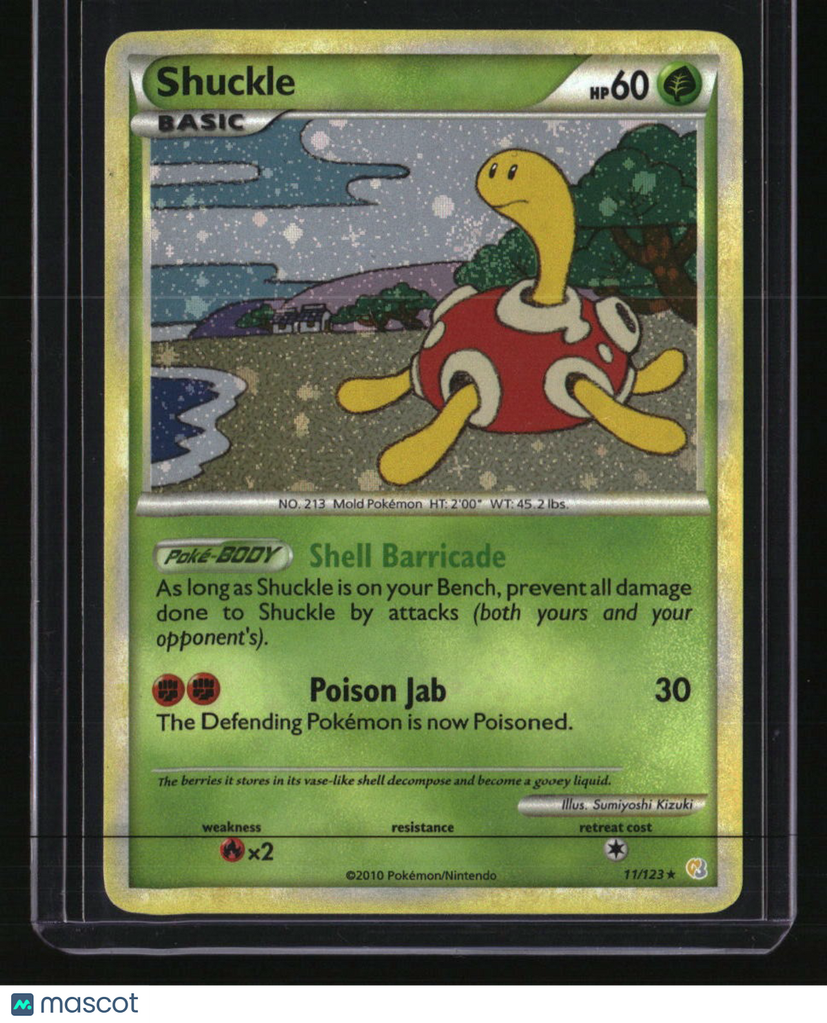 HeartGold SoulSilver Shuckle