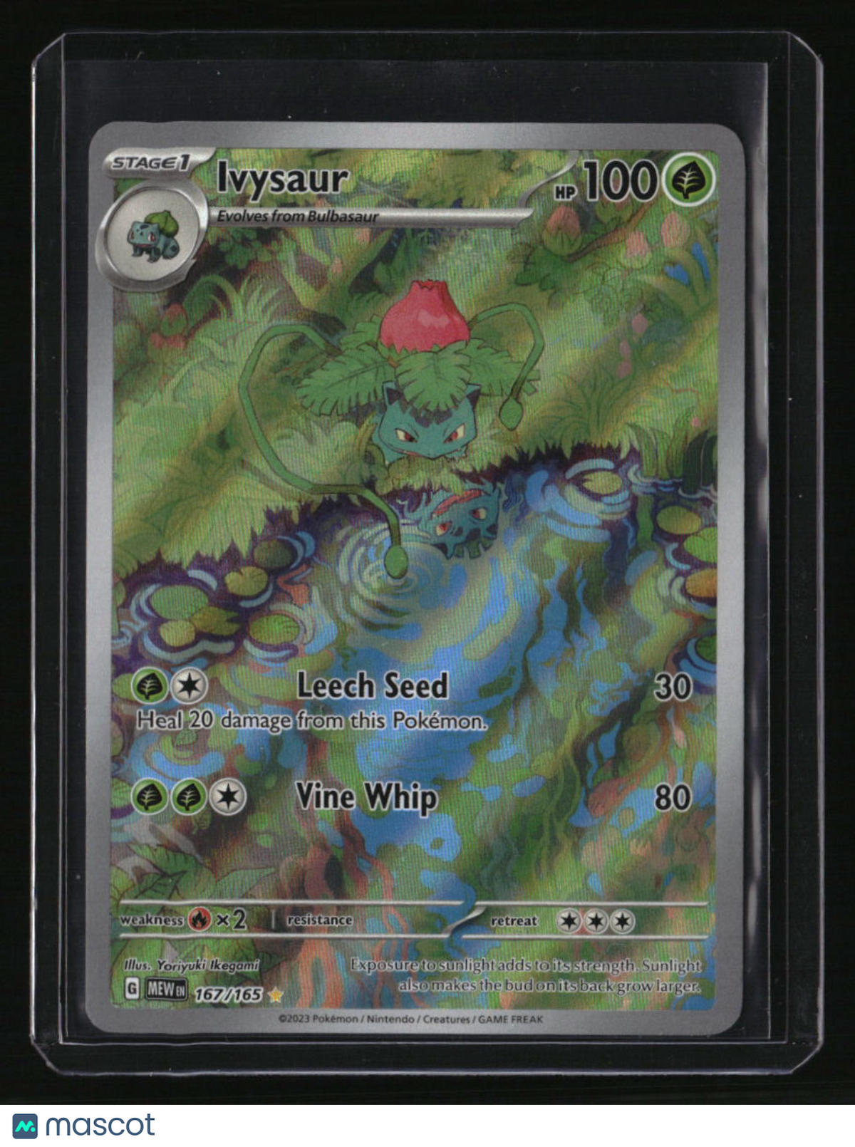 SV: Scarlet & Violet 151 Ivysaur
