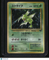 Pokemon Jungle Scyther