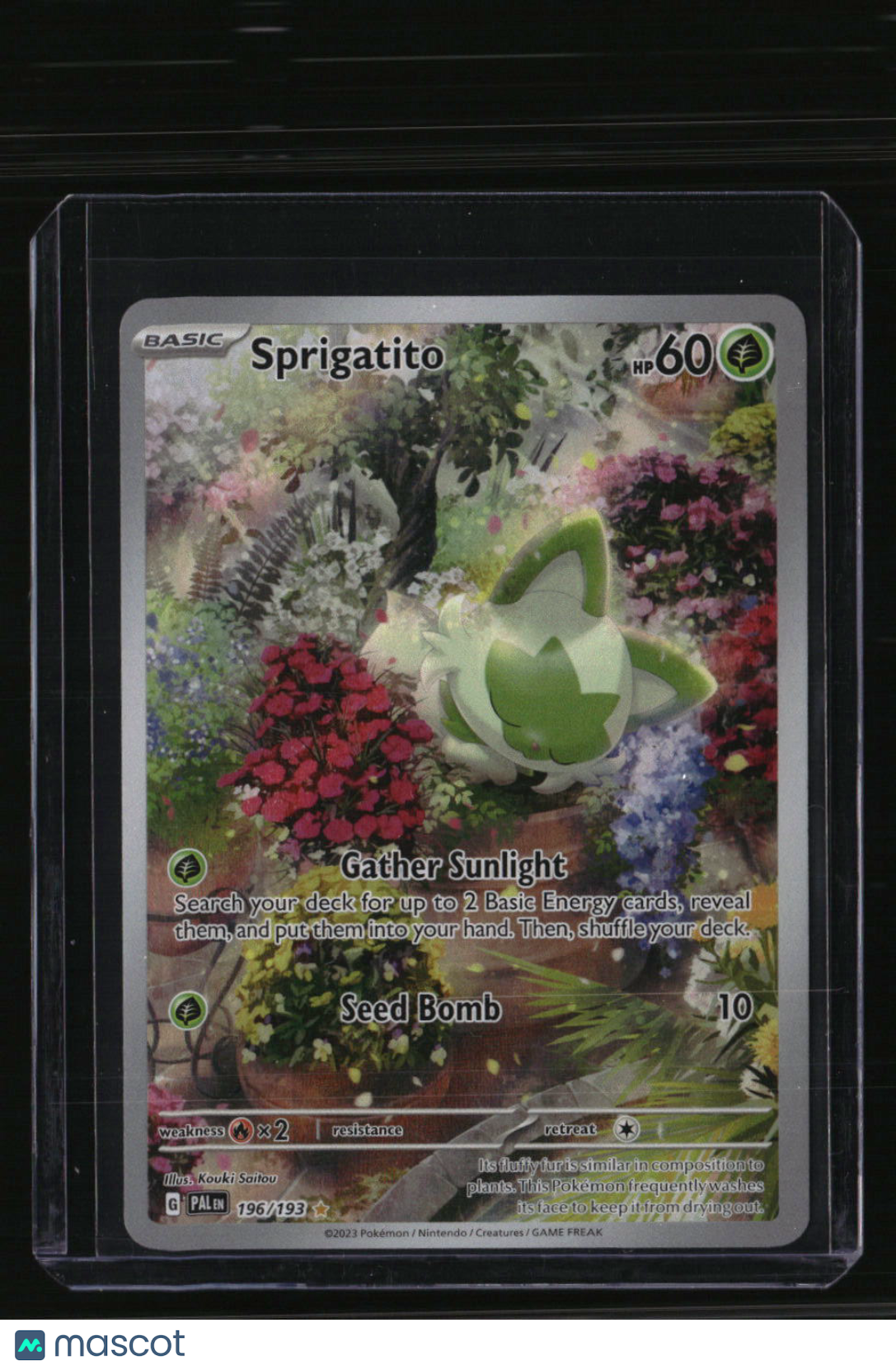 SV02: Paldea Evolved Sprigatito